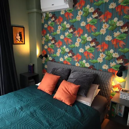 Daisy Grand Kamelia 阳光海滩