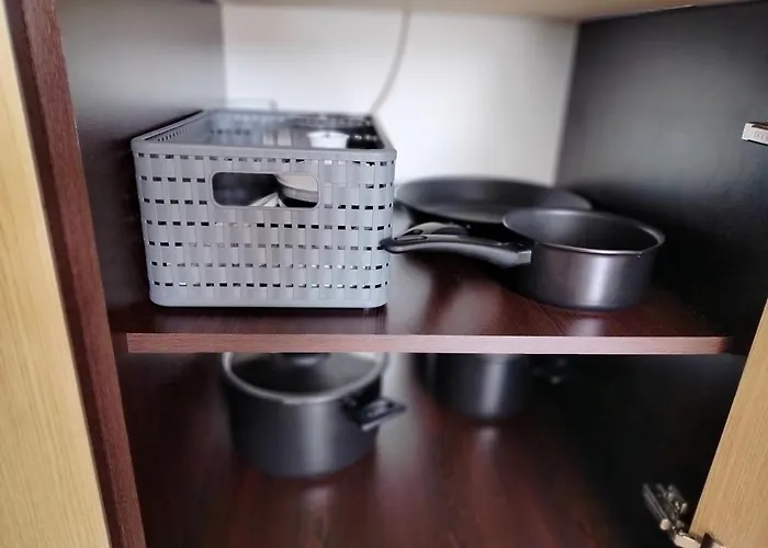 Daisy Grand Kamelia ساني بيتش